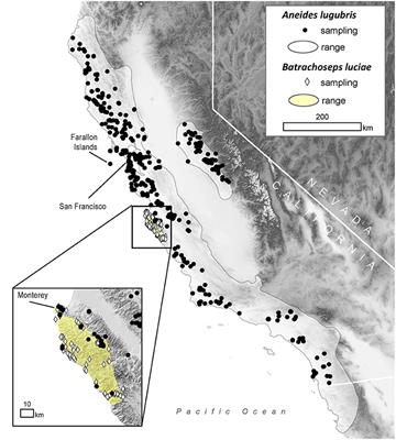 Social Behavior, Community Composition, Pathogen Strain, and Host Symbionts Influence Fungal <mark class="highlighted">Disease Dynamics</mark> in Salamanders